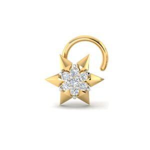 nosepin women (copy)