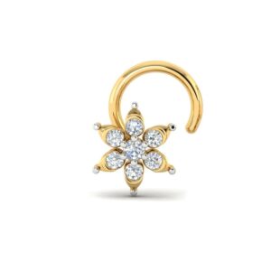 nosepin women (copy)